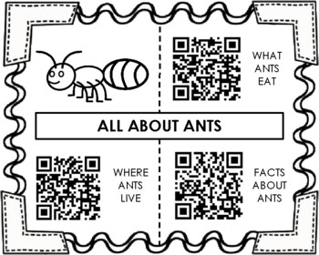 Preview of Insect QR Code Research