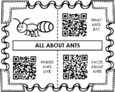 Insect QR Code Research