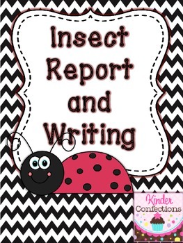 Preview of Insect Research Report and Writing