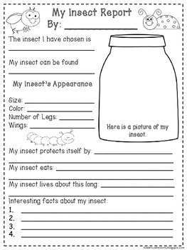 Insect Research Report and Writing by KinderConfections | TpT