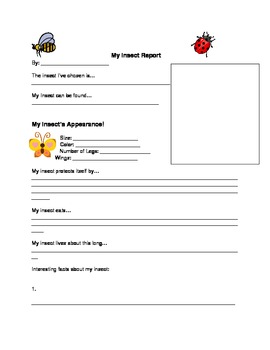 Preview of Insect Report Template