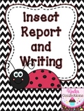 Insect Research Report and Writing