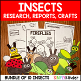 Bugs & Insect Activities, Spring Research Reports Writing 