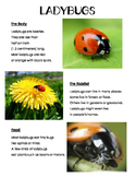 Insect Research Fact Sheet