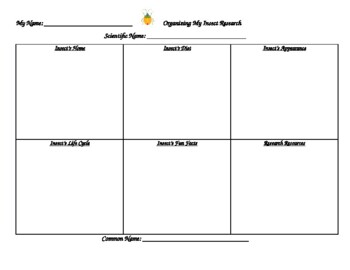 Preview of Insect Research Graphic Organizer