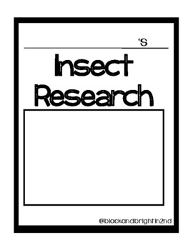 Preview of Insect Research Packet