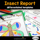 Insect Report | Research Project | Printable Report Writin