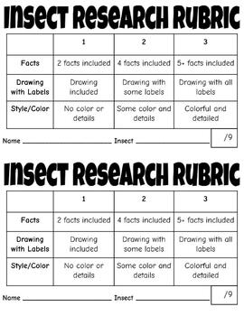 Preview of Insect Research Project Rubric