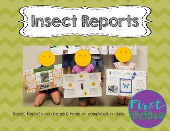 Preview of Insect Research Report {EDITABLE}