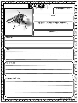 Common Core Insect Research