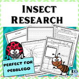 Insect Research, Graphic Organizers, Report Writing Pages,
