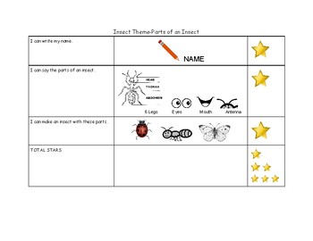 Preview of Insect Rubric