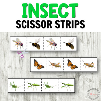Preview of Insect Scissor Strips for Cutting Practice