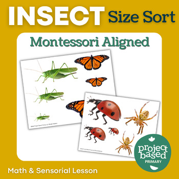 Preview of Insect Size Sorting Montessori Aligned