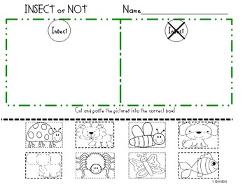 Insect Sort by Kindergarten Friends | Teachers Pay Teachers