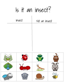 Insect Sort by Pre-K Finds | Teachers Pay Teachers