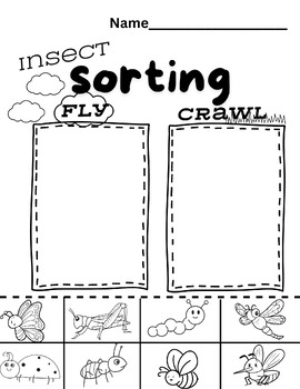 Preview of Insect Sorting