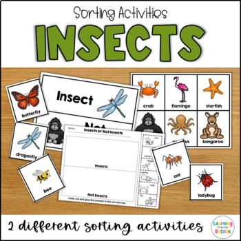 Insect Sorting Activity by Learning from the Outside | TpT
