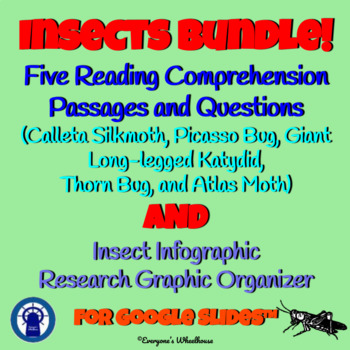 Preview of Insect Species Readings, Infographic, & More Bundle for Google Slides™