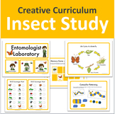 Insect Study (Creative Curriculum)