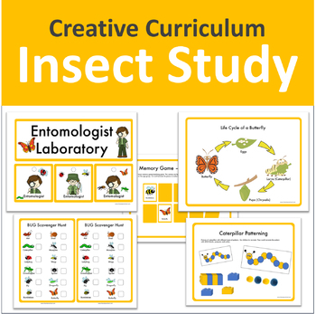 Preview of Insect Study (Creative Curriculum)