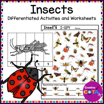 insect math worksheets teaching resources teachers pay teachers