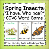 Spring Insects CCVC Word Game