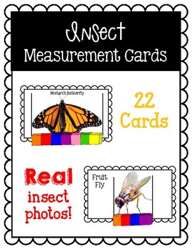 Preview of Insect Themed Measurement Cards
