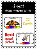 Insect Themed Measurement Cards