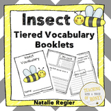 Insects Vocabulary - Differentiated Vocabulary Templates