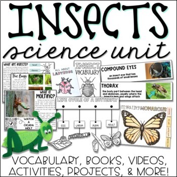 Preview of Insect Unit - All About Insects - Insect Life Cycles