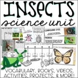 Insect Unit - All About Insects - Insect Life Cycles