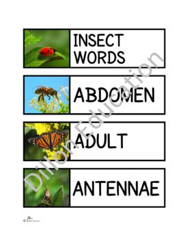 Preview of Insect Unit