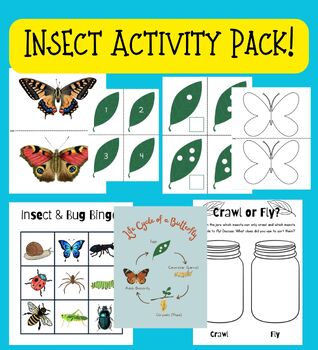 Preview of Insect Unit Activity Pack for PreK (Math, Science, Fine Motor, Art)