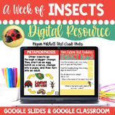 Insect Unit Nonfiction Informational Text Google Classroom