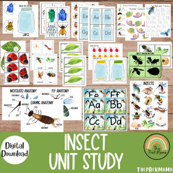 Insect Unit Study by The PreK Mama | TPT