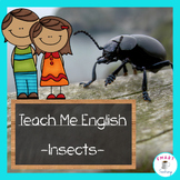 Insect Vocabulary in English - Great For ESL, ELL, Newcome