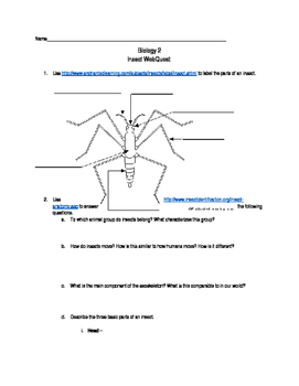 Preview of Insect WebQuest