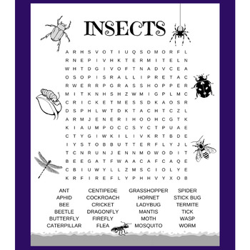 Insect Word Search by Maple Minds | TPT