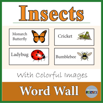 bugs wordwall