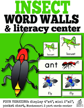 Beetle Insect Wall Chart Display