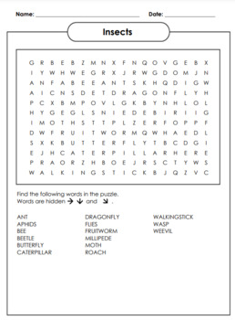 Insect Wordsearch by HISTORY AND FARMING LESSONS 101 | TPT