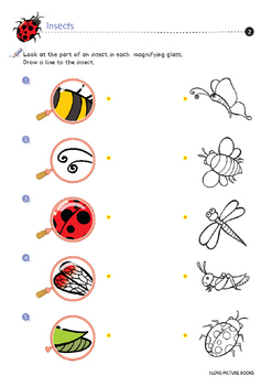 Insect Worksheets / Activities *Printables* by Worksheet Design Studio