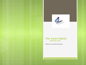 Preview of Insect World-Name that Insect