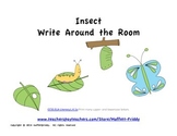 Insect Write Around the Room