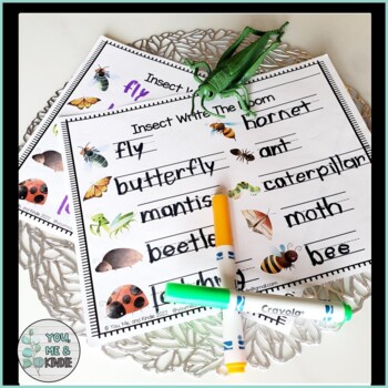 Insect Write the Room: Bug Literacy Activity by You Me and Kindie
