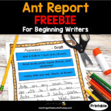 Insect Writing Activities | Jot Notes | FREEBIE | Ant Report