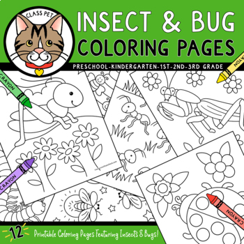 Preview of Insect and Bug Coloring Pages for Preschool | Kindergarten | First Grade