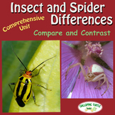 Insect and Spider Differences - Compare and Contrast