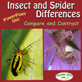 Insect and Spider Differences PowerPoint - Compare and Contrast